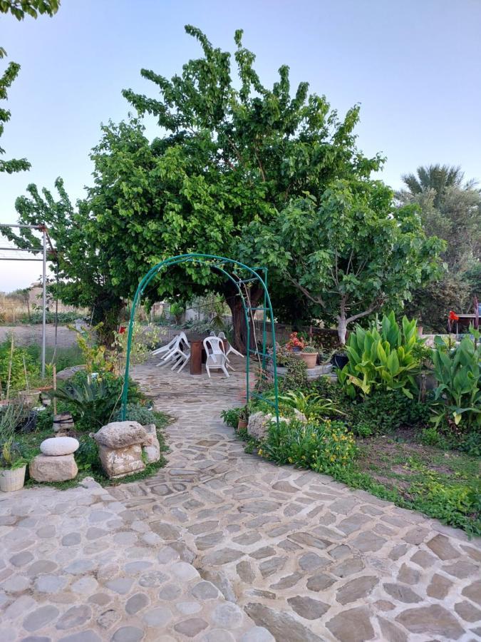 La Medusa Gardens Iskele District  Экстерьер фото